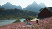 Søvnløs i Lofoten wallpaper 