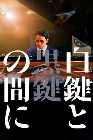 poster Between the White Key and the Black Key
