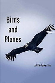 Birds and Planes poster