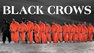 Black Crows  