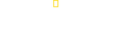 Logo of Danger Decoded image size 1920x810