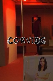poster Corvids