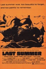 poster Last Summer
