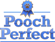 Logo of Pooch Perfect image size 1286x980