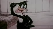 Le Divorce de Daffy wallpaper 