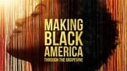 Making Black America  