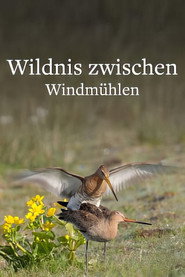 poster Wildlife in Windmill Country