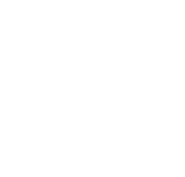 Logo of Only the Valiant image size 1300x1245
