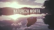 Natureza Morta  