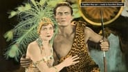 Tarzan et le lion d'or wallpaper 