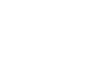Logo of The Painted Bird image size 1515x1228