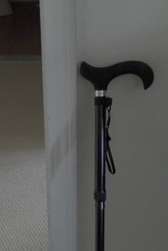 From This Day Forward