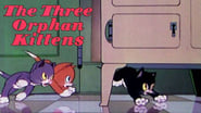 Three Orphan Kittens wallpaper 