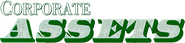 Logo of Corporate Assets image size 1033x241