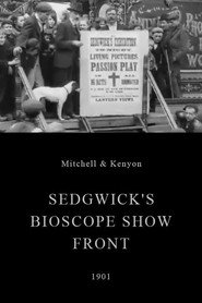 Sedgwick