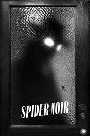 Poster of Spider-Noir image size 1920x2880
