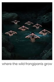 Where the Wild Frangipanis Grow