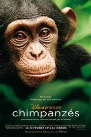 Voir film Chimpanzés en streaming