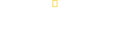 Logo of Camo Sharks image size 3590x1300