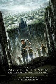 Poster of The Maze Runner image size 1800x2702