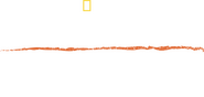 Logo of Counting Tigers image size 2735x1298