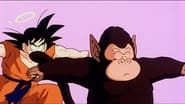 Dragon Ball Z season 1 episode 19