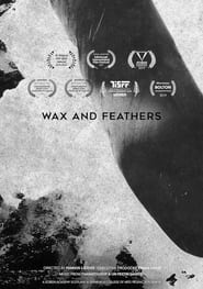 Wax And Feathers