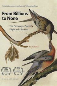 poster From Billions to None: The Passenger Pigeon's Flight to Extinction