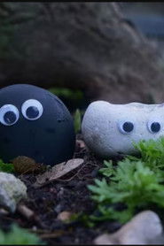 Une pierre pour deux