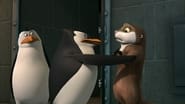 Les pingouins de Madagascar season 1 episode 12