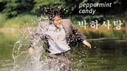 Peppermint Candy wallpaper 