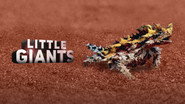 Little Giants  