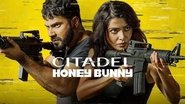 Backdrop of Citadel Honey Bunny image size 1280x720