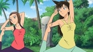 Détective Conan season 1 episode 635