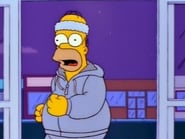 Les Simpson season 9 episode 23