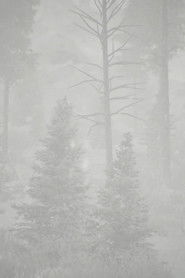 Open Heart Warrior Poster