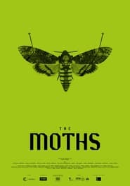 The Moths