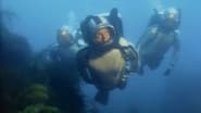 Jacques Cousteau: Rediscover the World | New Zealand, Tahiti, Cuba, & Cape Horn  