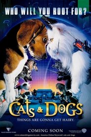 poster Cats & Dogs