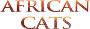 Logo of African Cats image size 1342x433