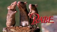Backdrop of Babe image size 1280x720