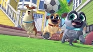 Playtime with Puppy Dog Pals  