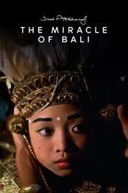 Poster of The Miracle of Bali image size 2000x3000