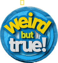 Logo of Weird But True! image size 1191x1300