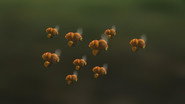 Gather more to pollinate more