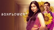 Backdrop of Sunflower image size 1920x1080