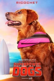Poster of Superpower Dogs image size 2000x3000