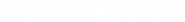 Logo of Hidden Truths image size 4268x516