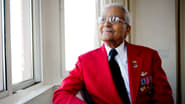 Tuskegee Airmen: Legacy of Courage wallpaper 