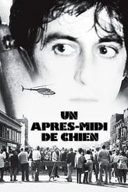 Voir film Un après-midi de chien en streaming